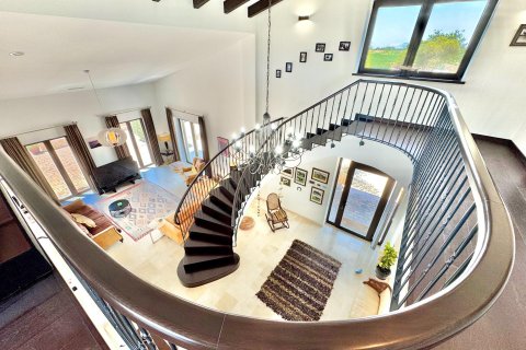 Villa for sale Dolores, Alicante, Spain 4 bedrooms, 425 sq.m. No. 131710 - photo 11