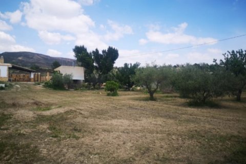 Villa pārdošanā La Romana, Alicante, Spānijā 3 istabas, 160 m2 Nr. 125360 - attēls 20