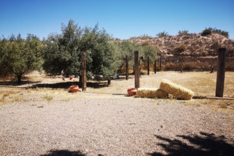 Villa pārdošanā La Romana, Alicante, Spānijā 3 istabas, 160 m2 Nr. 125360 - attēls 17
