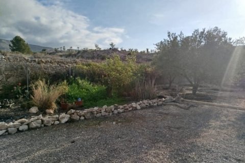 Villa pārdošanā La Romana, Alicante, Spānijā 3 istabas, 160 m2 Nr. 125360 - attēls 18