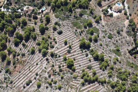 Land zum Verkauf Benissa, Alicante, Spanien 33673 m2 Nr. 122504 - Foto 2