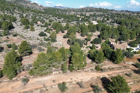 Land zum Verkauf Benissa, Alicante, Spanien 33673 m2 Nr. 122504 - Foto 15
