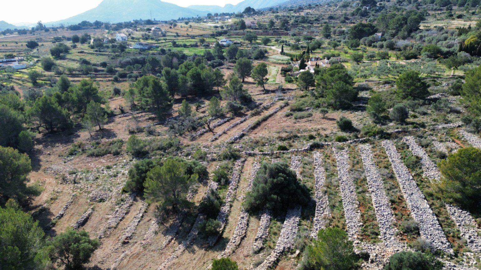Land plot in Benissa, Alicante, Spain 33673 sq.m. No. 122504