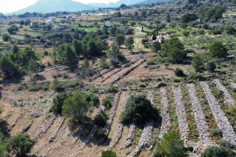 Land zum Verkauf Benissa, Alicante, Spanien 33673 m2 Nr. 122504 - Foto 18