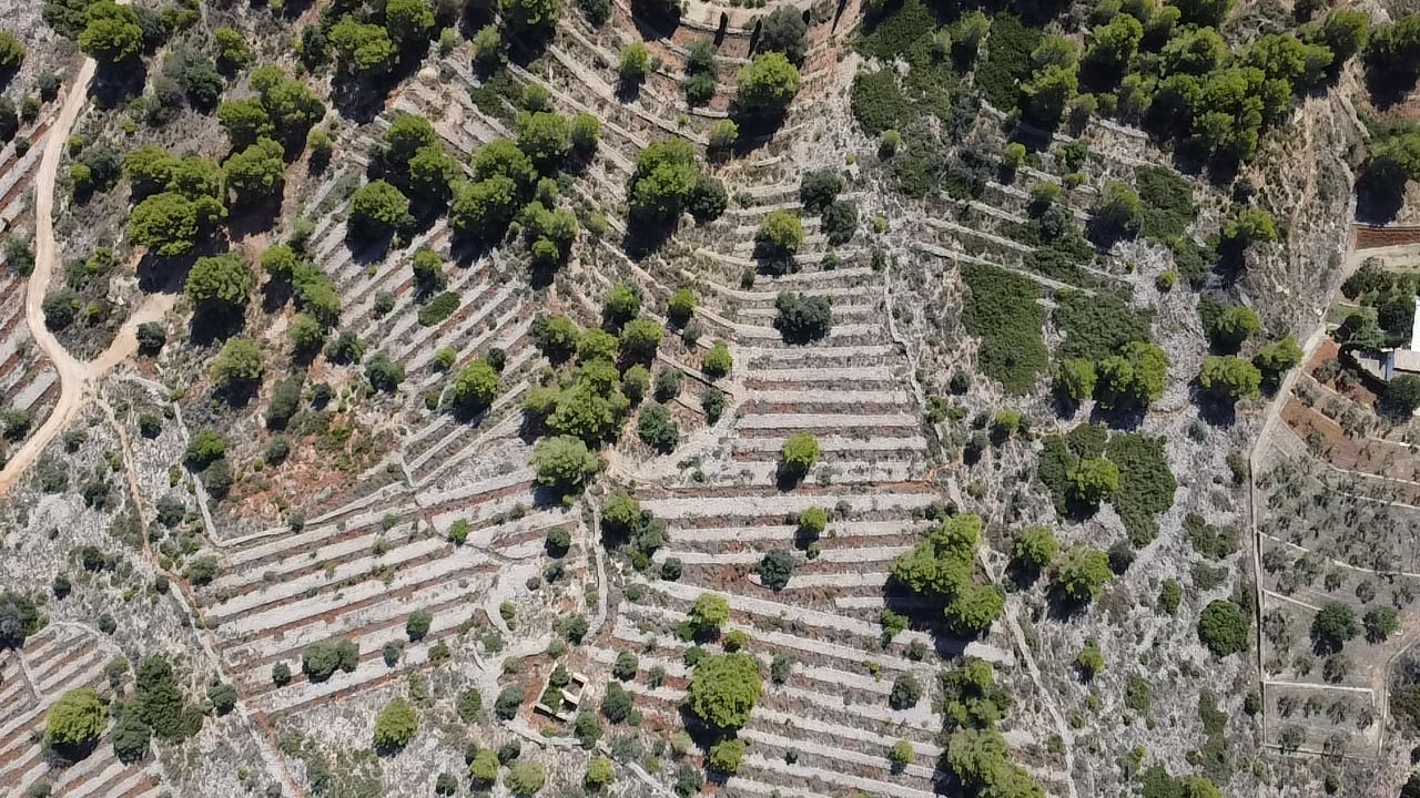 Land plot in Benissa, Alicante, Spain 33673 sq.m. No. 122504