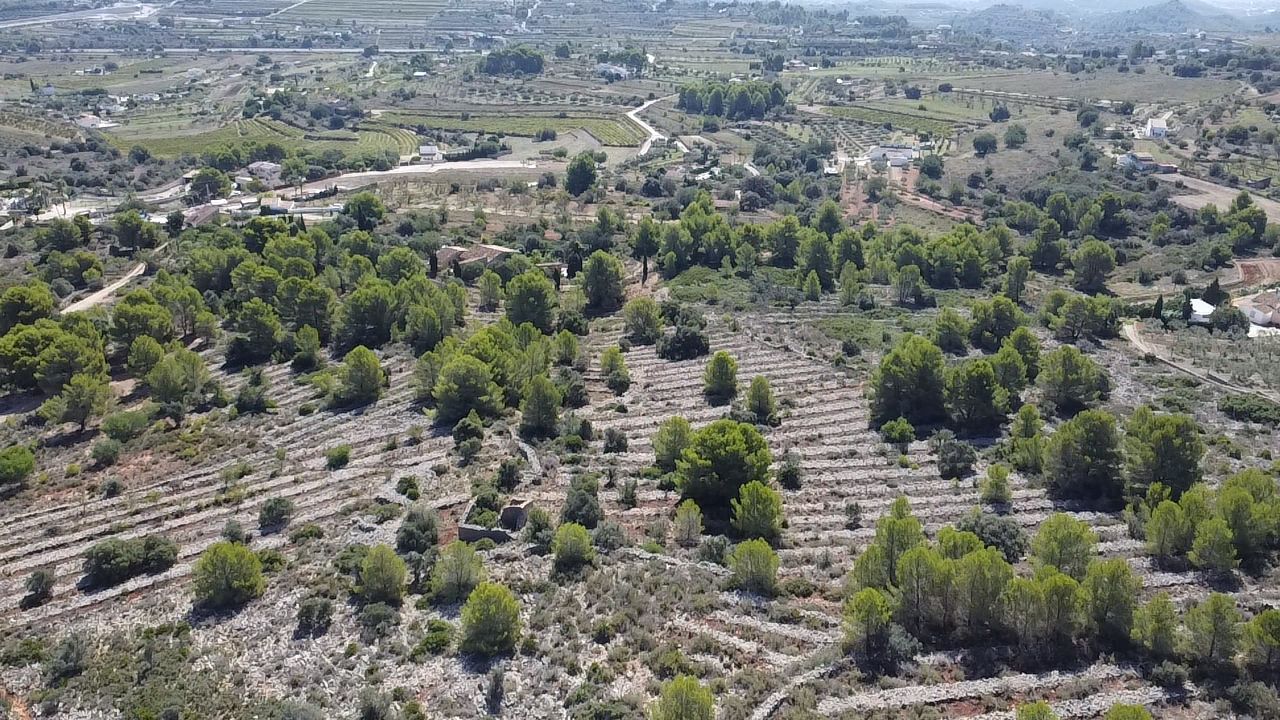 Land plot in Benissa, Alicante, Spain 33673 sq.m. No. 122504