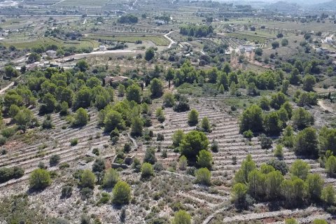 Land zum Verkauf Benissa, Alicante, Spanien 33673 m2 Nr. 122504 - Foto 4