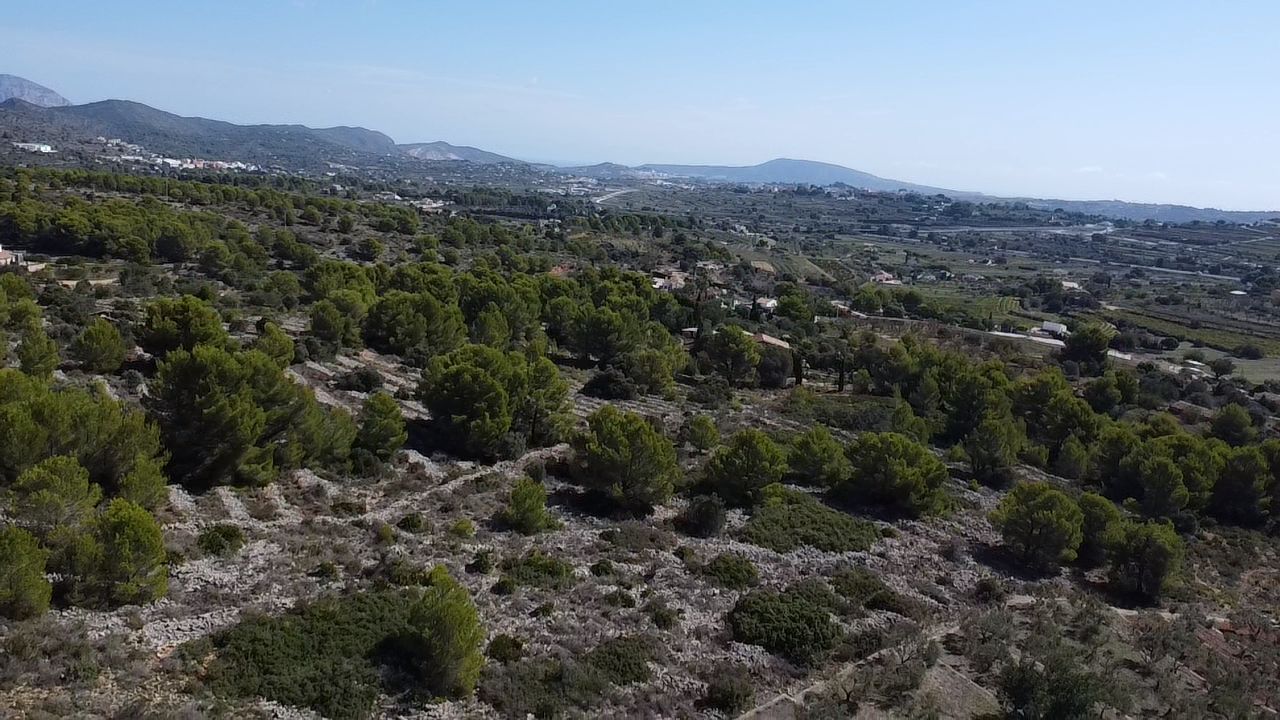 Land plot in Benissa, Alicante, Spain 33673 sq.m. No. 122504
