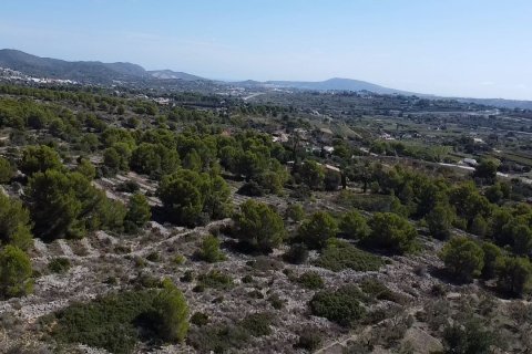 Land zum Verkauf Benissa, Alicante, Spanien 33673 m2 Nr. 122504 - Foto 5