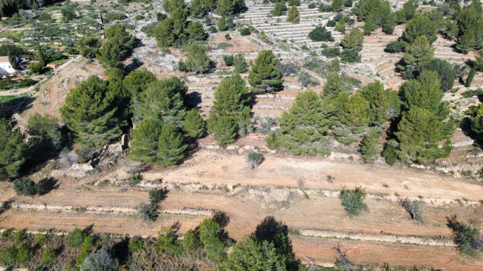 Land plot in Benissa, Alicante, Spain 33673 sq.m. No. 122504