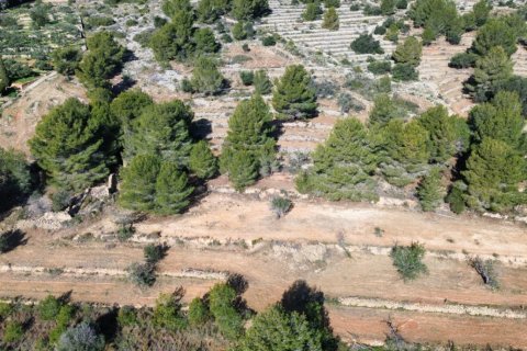 Land zum Verkauf Benissa, Alicante, Spanien 33673 m2 Nr. 122504 - Foto 14