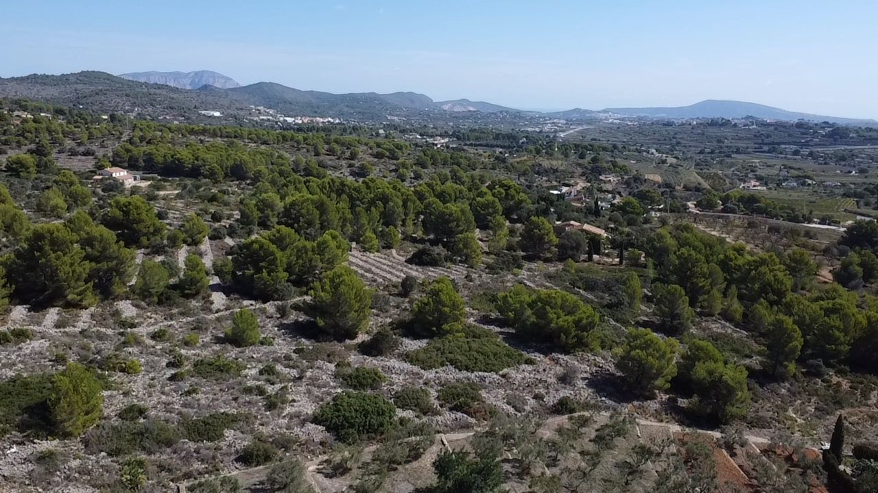 Land plot in Benissa, Alicante, Spain 33673 sq.m. No. 122504
