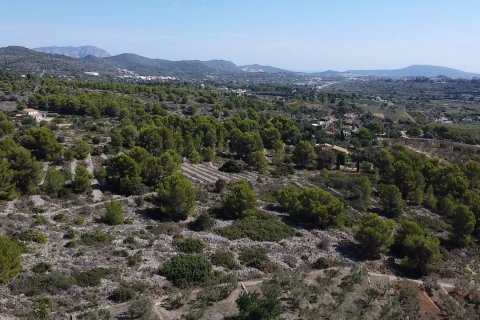 Land zum Verkauf Benissa, Alicante, Spanien 33673 m2 Nr. 122504 - Foto 8