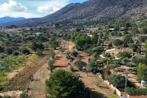 Land zum Verkauf Benissa, Alicante, Spanien 33673 m2 Nr. 122504 - Foto 10