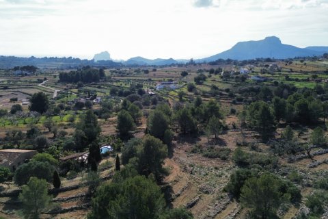 Land zum Verkauf Benissa, Alicante, Spanien 33673 m2 Nr. 122504 - Foto 17