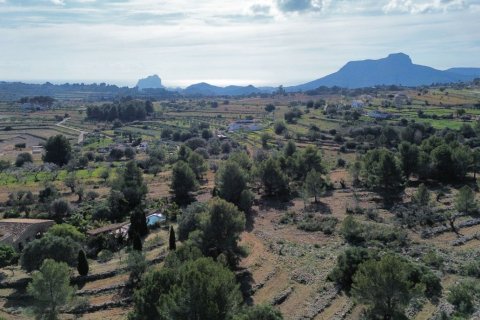 Land zum Verkauf Benissa, Alicante, Spanien 33673 m2 Nr. 122504 - Foto 16