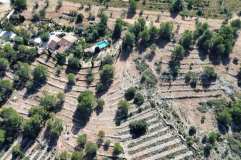 Land zum Verkauf Benissa, Alicante, Spanien 33673 m2 Nr. 122504 - Foto 13