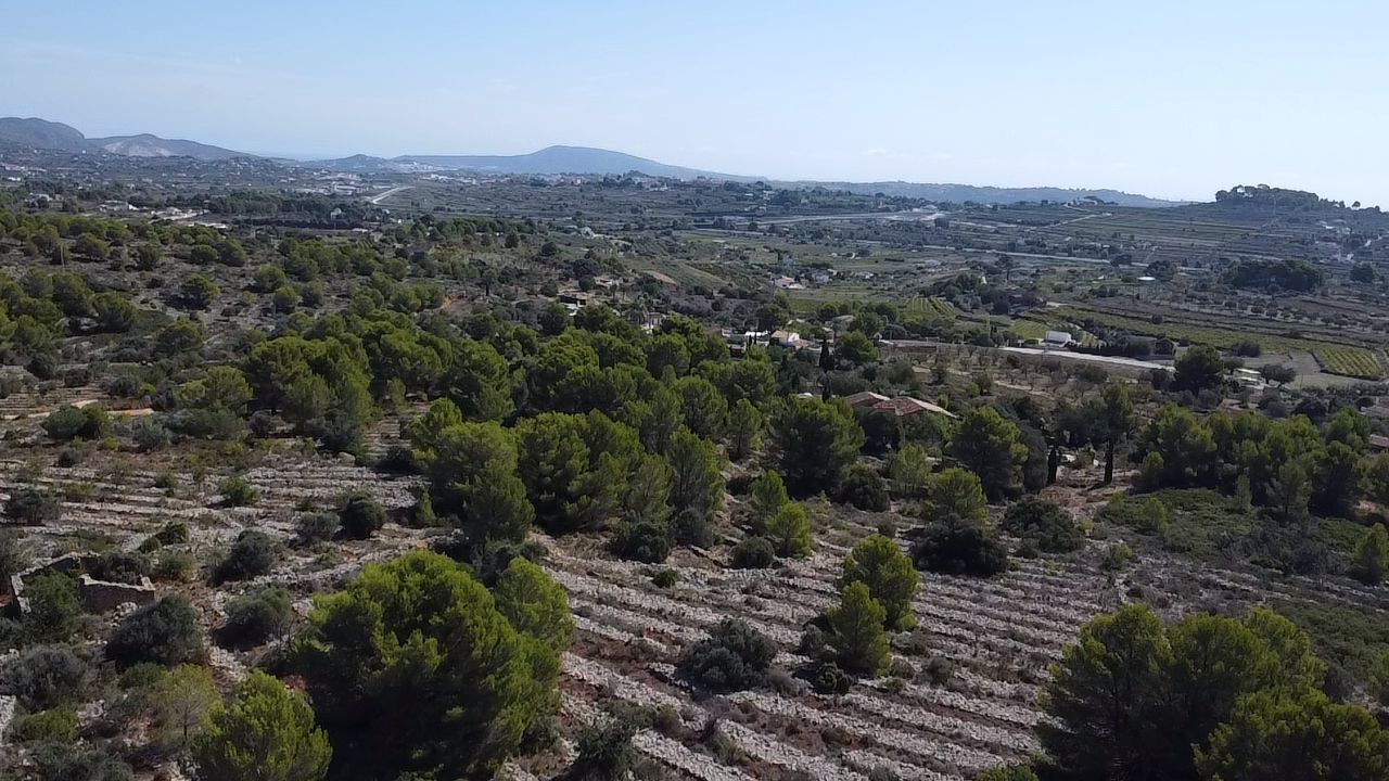 Land plot in Benissa, Alicante, Spain 33673 sq.m. No. 122504