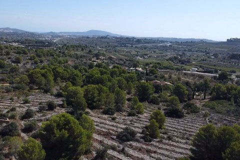 Land zum Verkauf Benissa, Alicante, Spanien 33673 m2 Nr. 122504 - Foto 3