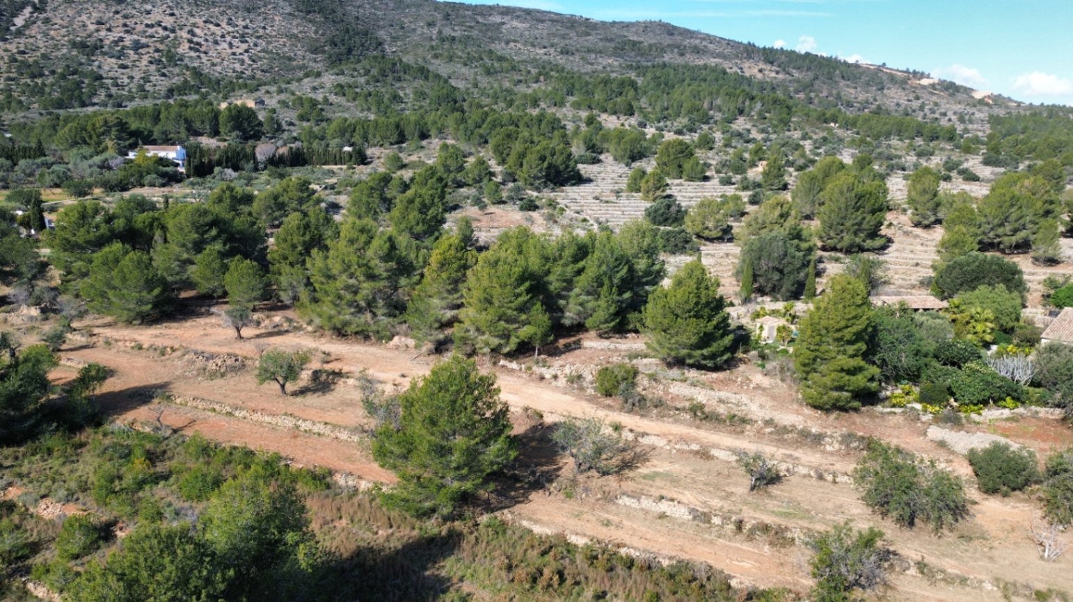 Land plot in Benissa, Alicante, Spain 33673 sq.m. No. 122504