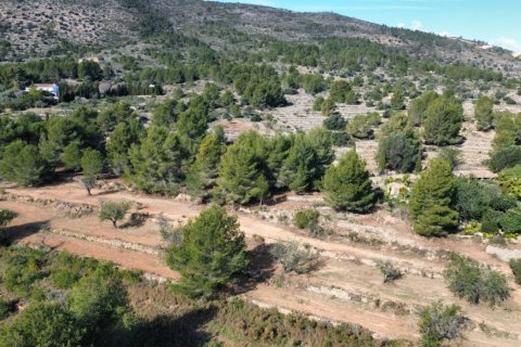 Land zum Verkauf Benissa, Alicante, Spanien 33673 m2 Nr. 122504 - Foto 7