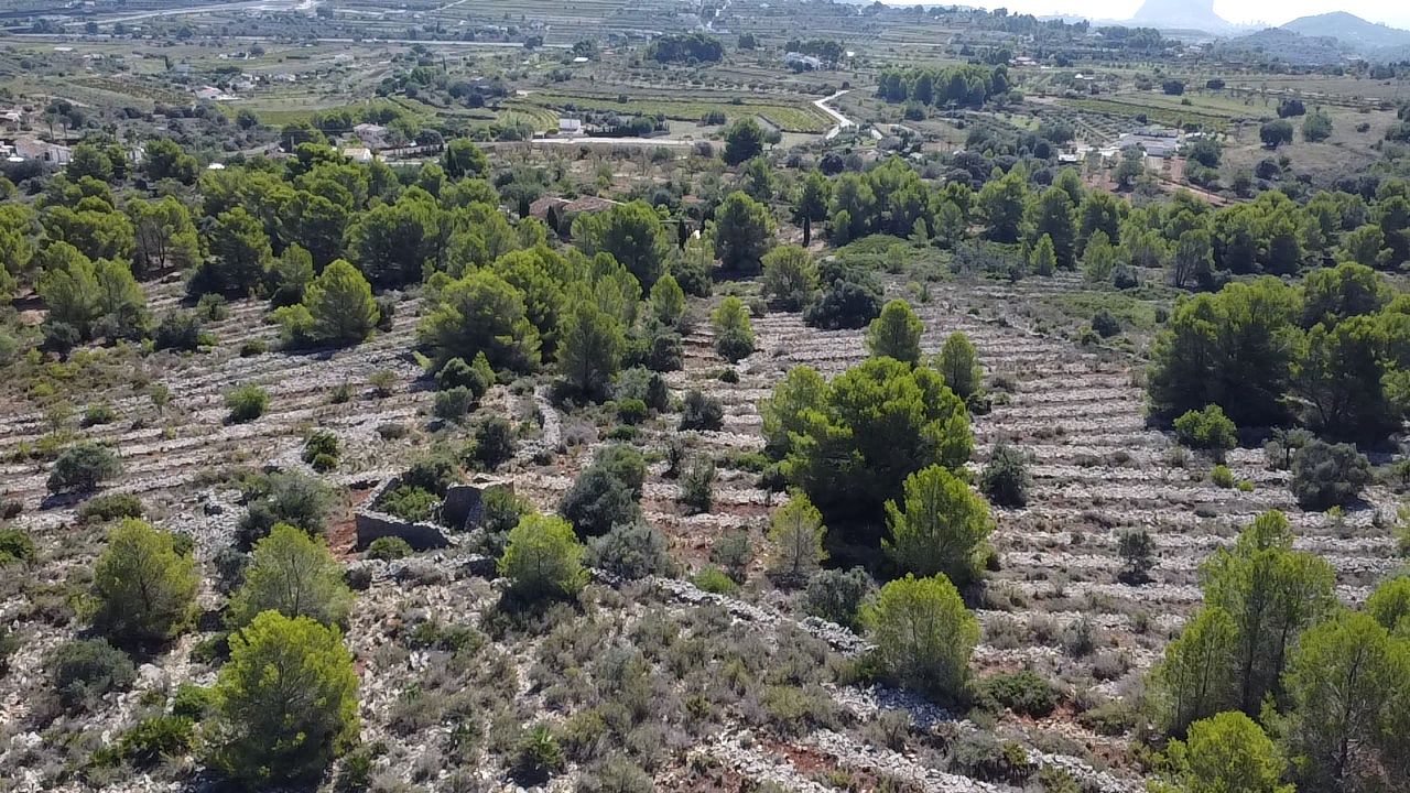 Land plot in Benissa, Alicante, Spain 33673 sq.m. No. 122504