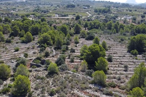Land zum Verkauf Benissa, Alicante, Spanien 33673 m2 Nr. 122504 - Foto 6