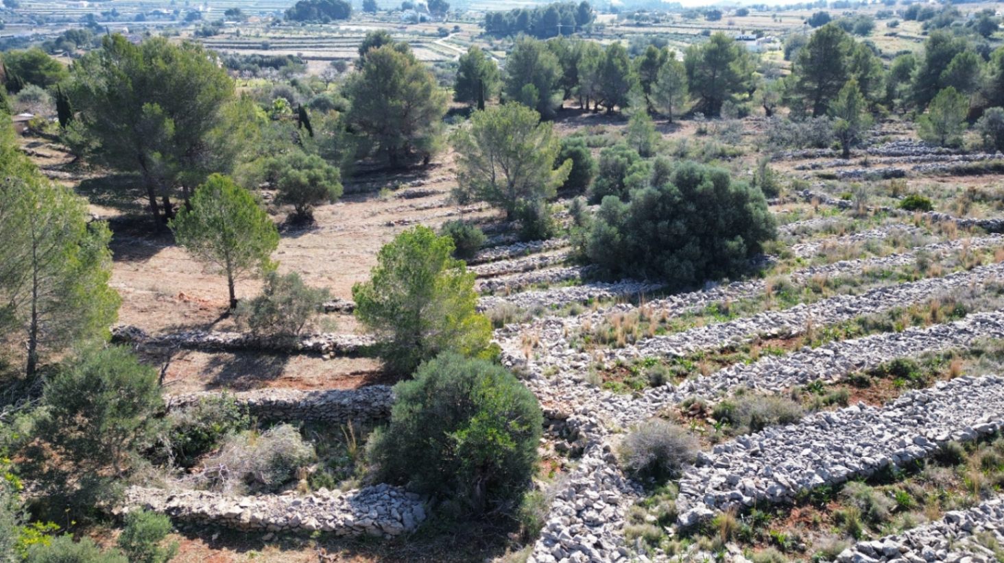 Land plot in Benissa, Alicante, Spain 33673 sq.m. No. 122504