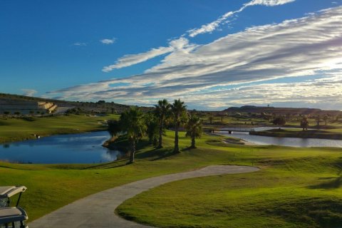 Willa w Alicante, Hiszpania 4 sypialnie, 176 mkw. nr 131342 – zdjęcie 6