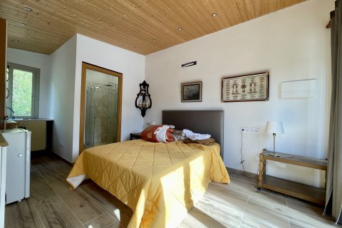 Finca à vendre Inca, Mallorca, Espagne, 4 chambres, 372 m2 No. 131058 - photo 16