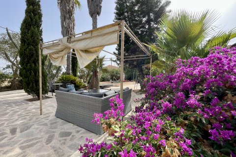 Finca à vendre Inca, Mallorca, Espagne, 4 chambres, 372 m2 No. 131058 - photo 18