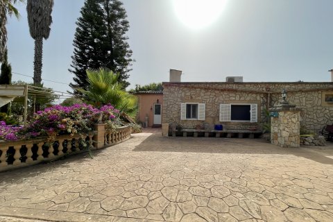 Finca à vendre Inca, Mallorca, Espagne, 4 chambres, 372 m2 No. 131058 - photo 2
