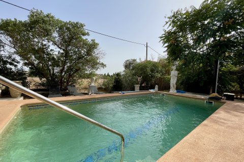 Finca à vendre Inca, Mallorca, Espagne, 4 chambres, 372 m2 No. 131058 - photo 5