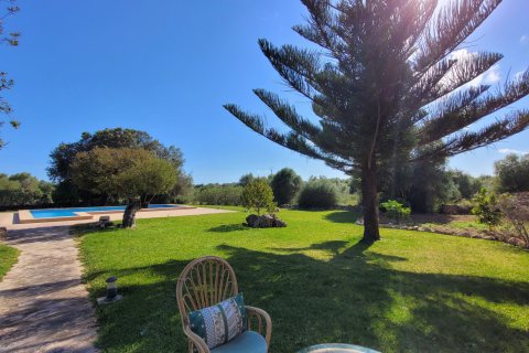 Finca for rent Porto Cristo, Mallorca, Spain 4 bedrooms, 333 sq.m. No. 128199 - photo 25