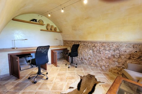 Finca for rent Porto Cristo, Mallorca, Spain 4 bedrooms, 333 sq.m. No. 128199 - photo 20