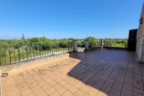 Finca for rent Porto Cristo, Mallorca, Spain 4 bedrooms, 333 sq.m. No. 128199 - photo 14