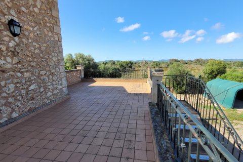 Finca for rent Porto Cristo, Mallorca, Spain 4 bedrooms, 333 sq.m. No. 128199 - photo 15