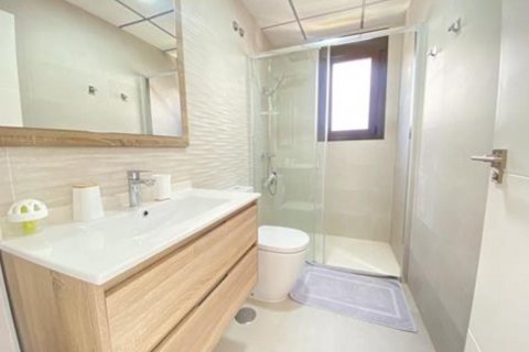 Apartament Dolores De Pacheco, Murcia, Hiszpania 2 sypialnie,  nr 128746 – zdjęcie 23