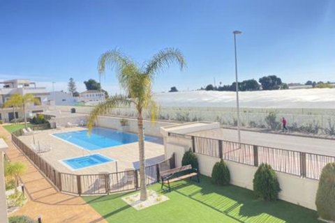 Apartament Dolores De Pacheco, Murcia, Hiszpania 2 sypialnie,  nr 128746 – zdjęcie 2