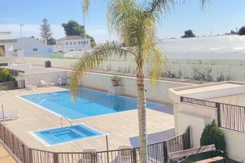 Apartament Dolores De Pacheco, Murcia, Hiszpania 2 sypialnie,  nr 128746 – zdjęcie 30