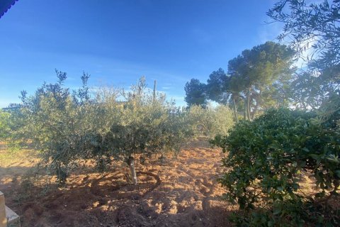 Villa for sale Gea Y Truyols, Murcia, Spain 4 bedrooms, 153 sq.m. No. 128708 - photo 8