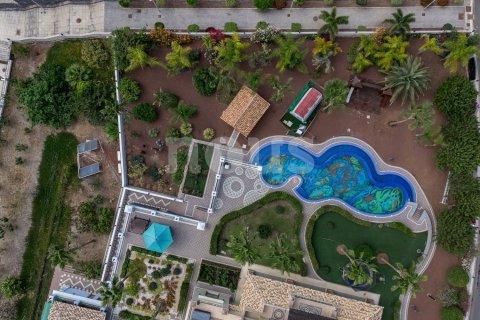 Villa zum Verkauf Adeje, Tenerife, Spanien 6 Schlafzimmer, 963 m2 Nr. 127591 - Foto 11