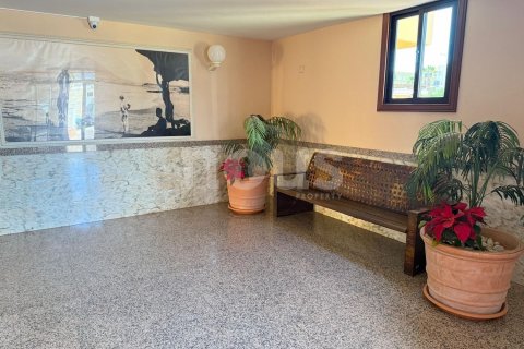 Apartamento en venta El Médano, Tenerife, España 2 dormitorios, 50 m2 No. 127593 - foto 20