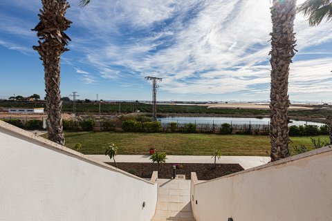 Bungalow Pilar de la Horadada, Alicante, Hiszpania 2 sypialnie, 67 mkw. nr 126978 – zdjęcie 29