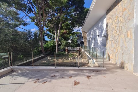 Villa zur Miete Palmanova, Mallorca, Spanien 4 Schlafzimmer, 400 m2 Nr. 130918 - Foto 7