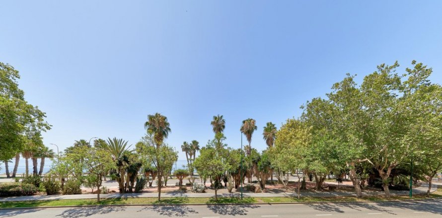 Квартира в Малага, Испания 4 спальни, 267м2 №124582
