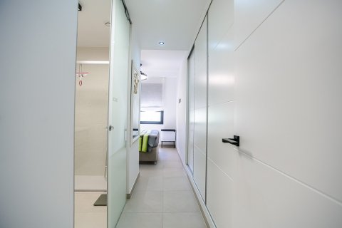 Appartamento in vendita Pilar de la Horadada, Alicante, Spagna 2 camere da letto, 77 mq. N° 125867 - foto 9