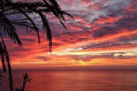 Bungalow zum Verkauf Torrevieja, Alicante, Spanien 2 Schlafzimmer, 72 m2 Nr. 128602 - Foto 13