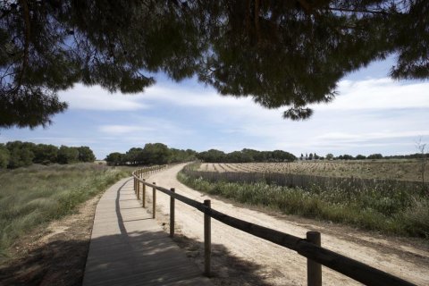 Bungalow till salu Torrevieja, Alicante, Spanien 2 sovrum, 79 kvm. Nr. 128601 - foto 6