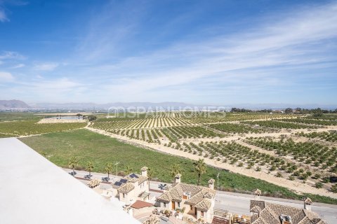 Продажа виллы в Альгорфа, Аликанте, Испания 3 спальни, 199м2 №121513 - фото 23